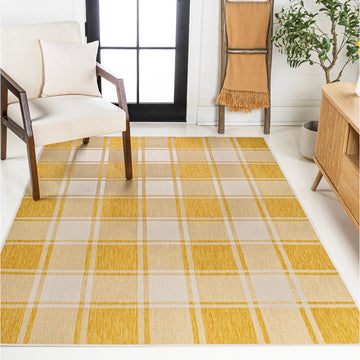 Sabine Traditional Farmhouse Bold Gingham Area Rug